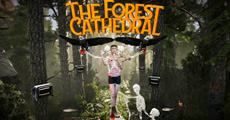 Accessibility is Upfront in The Forest Cathedral, Whitethorn Games’ Upcoming Environmental Thriller