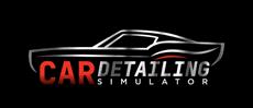 Car Detailing Simulator and AMMO NYC DLC