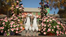 Hela: Die magischen M&auml;use senden humorvolle Gr&uuml;&szlig;e zum Valentinstag