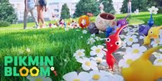 Pikmin Bloom feiert morgen den Weltpostkartentag